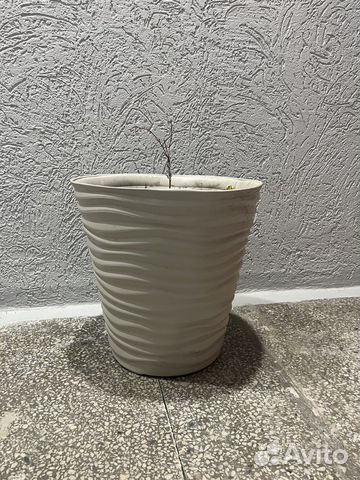 Вазоны для цветов