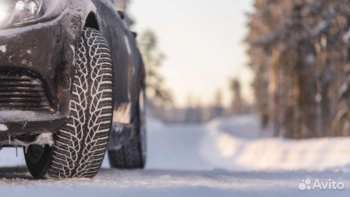 Nokian Tyres WR D4 155/65 R14 75T