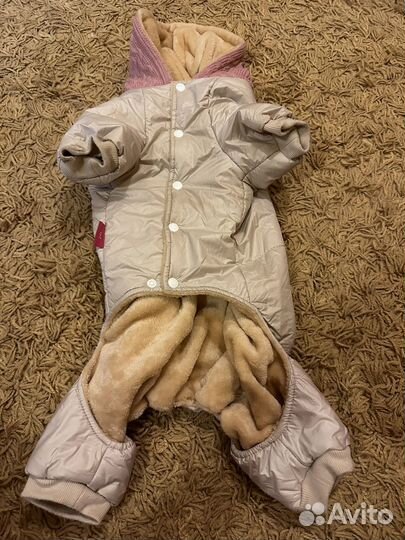 Комбинезон для собаки