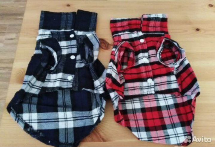 Одежда L, поводок, обувь, расческа, пакетики