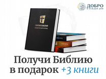 Святая Библия синодальный и новый русский перевод