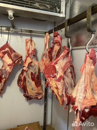 Свежее мясо Халяль