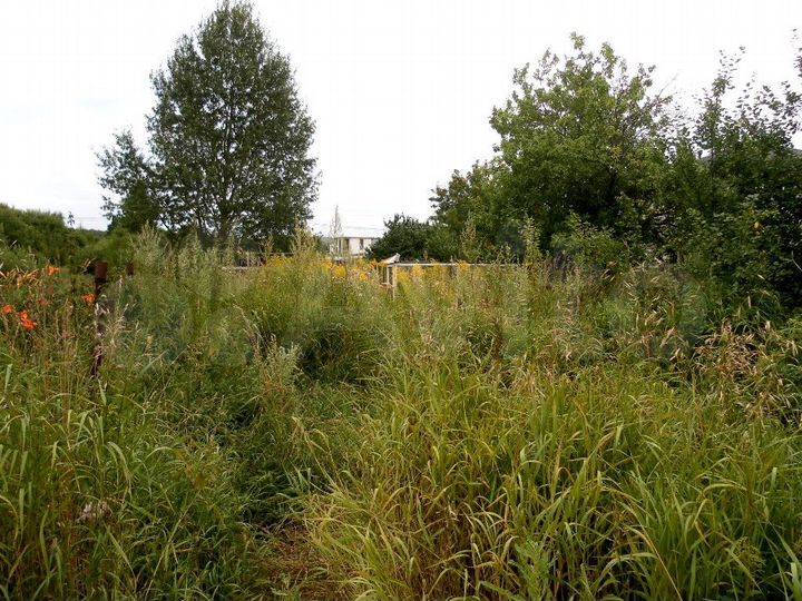 Дом 44 м² на участке 5 сот.