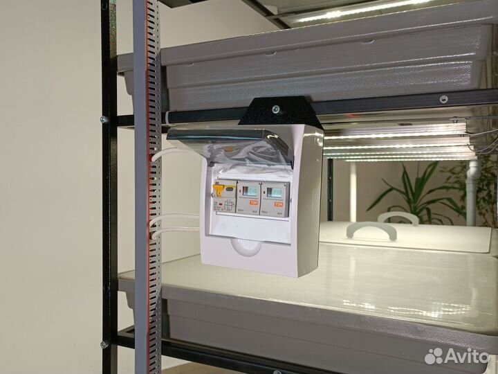 Оборудование стеллажи для микрозелени и салатов