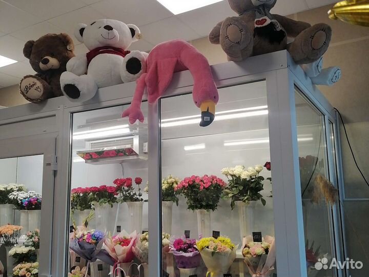 Продам готовый цветочный бизнес