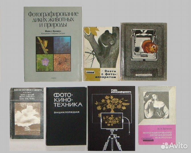 Фотография, телевидение, домоводство