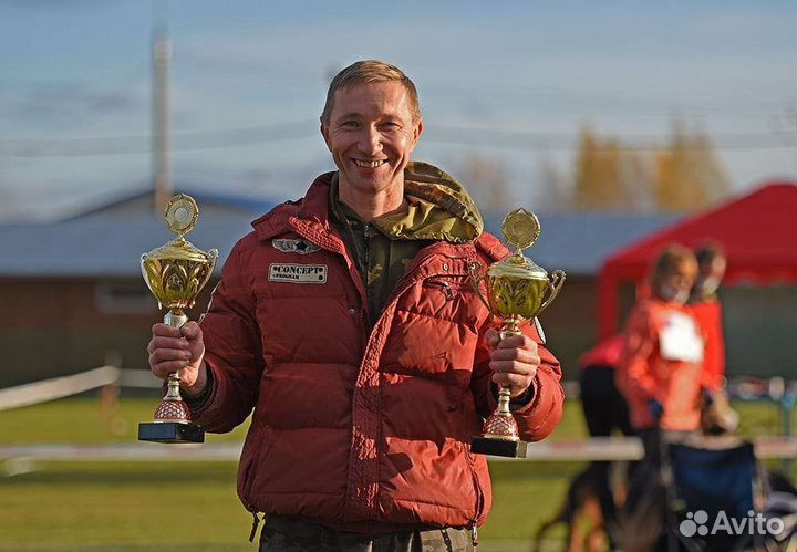 Дрессировка собак,коррекция