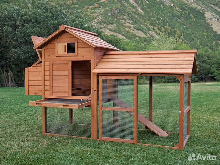Курятник с выгулом