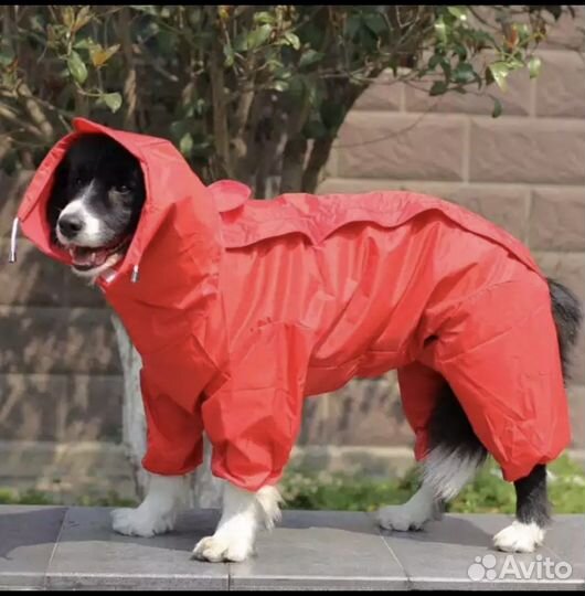 Комбинезон для маленькой собаки новый