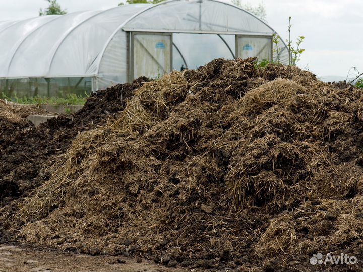 Навоз с доставкой. Малые Вязёмы