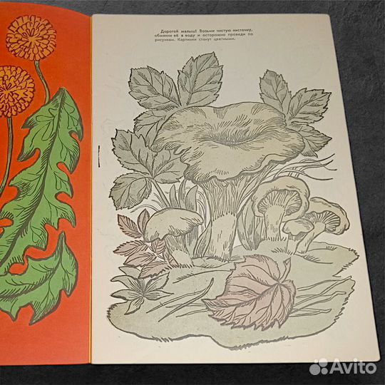 Волшебные картинки.В лесу и в саду