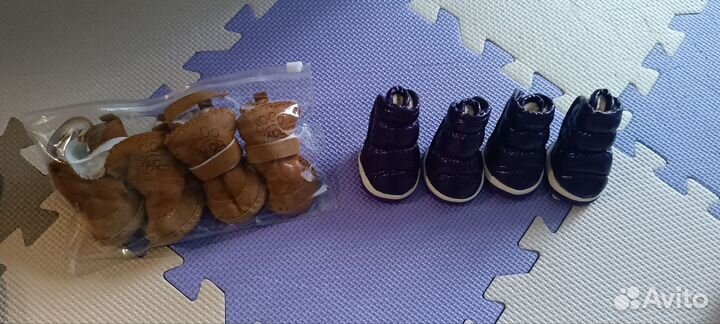 Одежда для маленьких собак