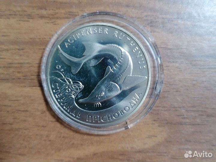 2 гривни 2012 год Стерлядь пресноводная
