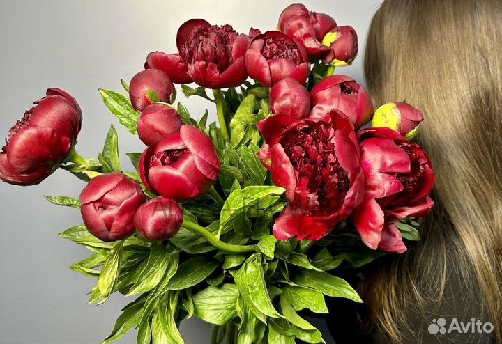 Пионы букет доставка