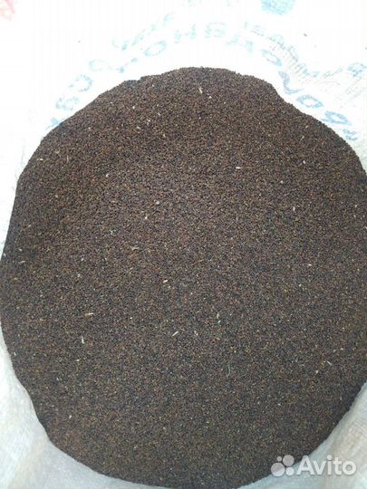 Семена фацелии