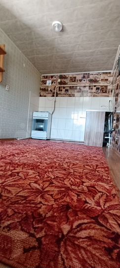 Дом 25,2 м² на участке 7 сот.