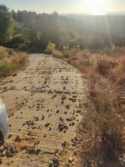 Участок 5 сот. (ИЖС)