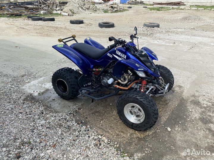 Yamaha raptor