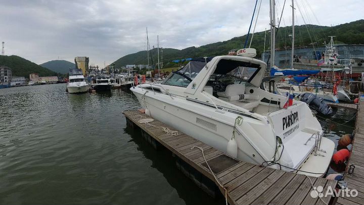 Морские прогулки Камчатка бронь на сезон 2024