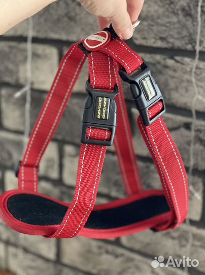 Шлейка для собак ezydog L