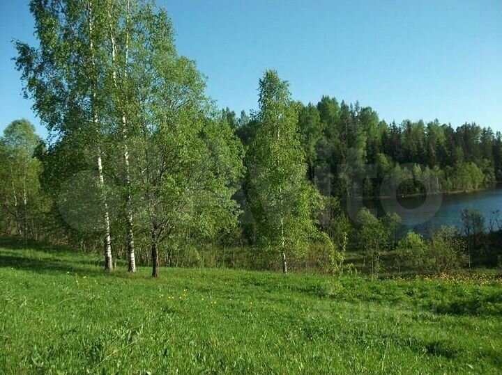 Участок 11,35 га (СНТ, ДНП)
