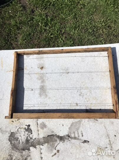 Пчелиная сушь