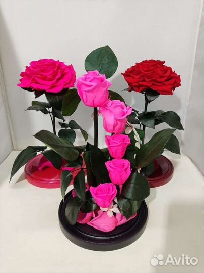 Роза в колбе оптом