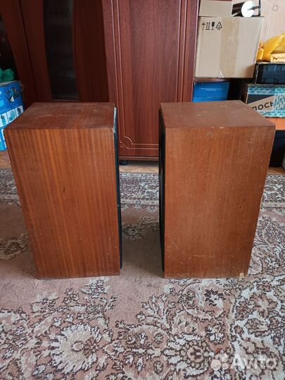 Акустика Электроника Д1-012