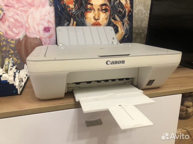 Принтер Canon pixma MG2440 цветной