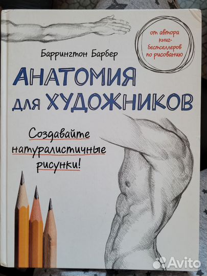 Анатомия для художников