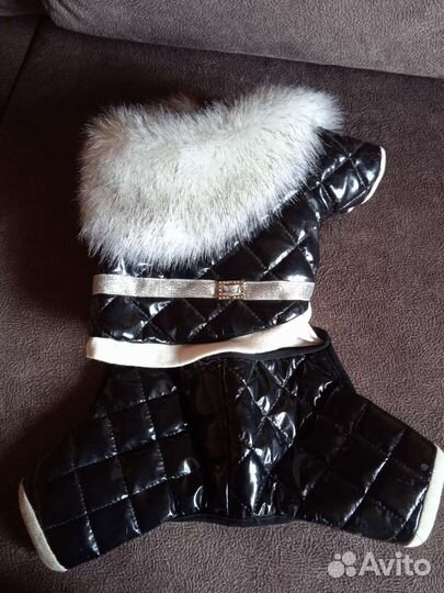 Одежда для маленьких собак