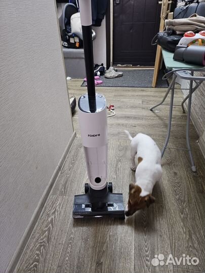 Моющий пылесос