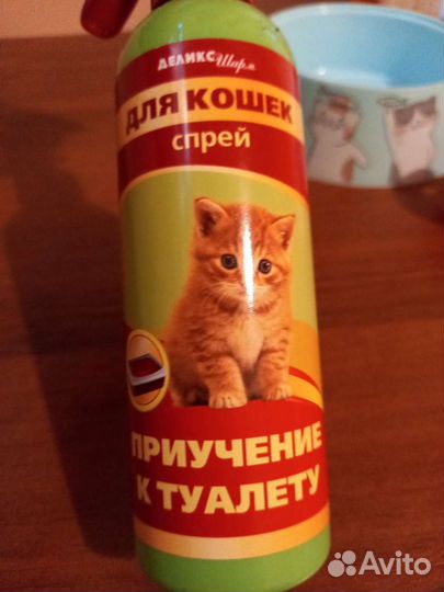 Цена за всё Миски, приучение к унитазу