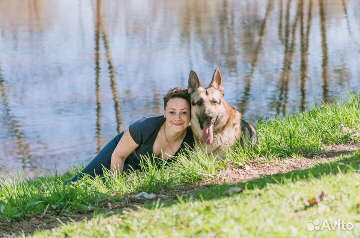 Зоопсихолог, кинолог, дресс. Гуманно, без насилия