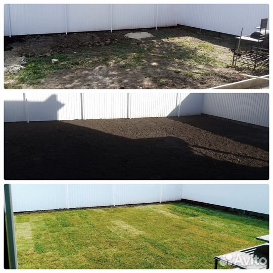 Рулонный газон с укладкой