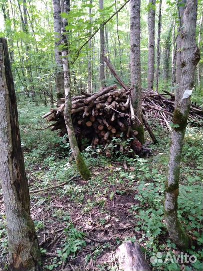 Спил деревьев, расчистка участков
