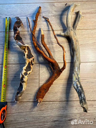 Дрифтвуд Коряги