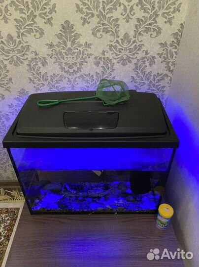 Аквариум с рыбками