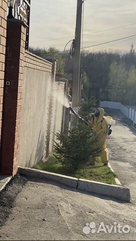 Дезинсекция уничтожение Тараканов и Клопов