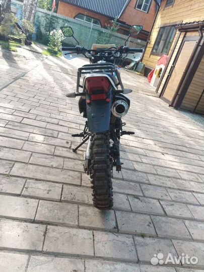 Racer Panther 250