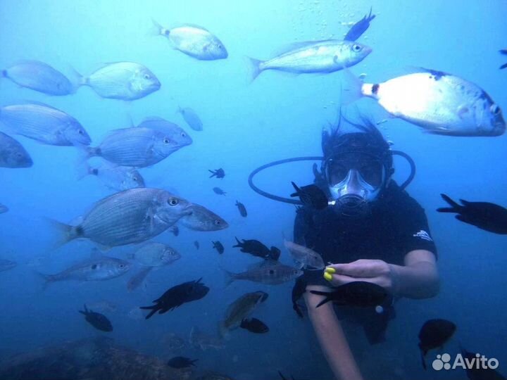 Дайвинг Сочи Адлер