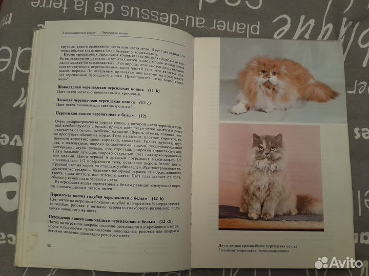 Атлас породы кошек 2 шт