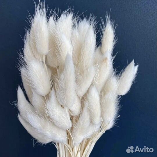 Цветы. Сухоцветы для творчества и рукоделия