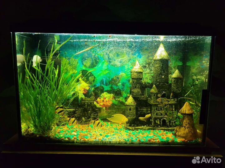 Аквариум с рыбками