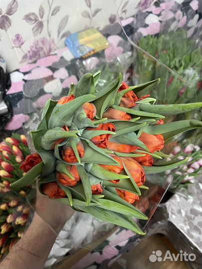 Цветы с доставкой тюльпаны