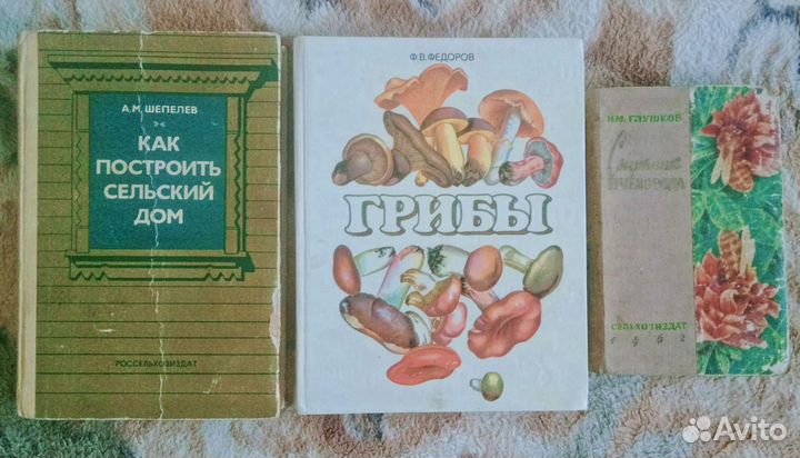 Хозяйственные книги СССР
