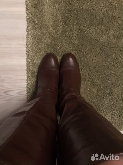 Сапоги женские осень -весна