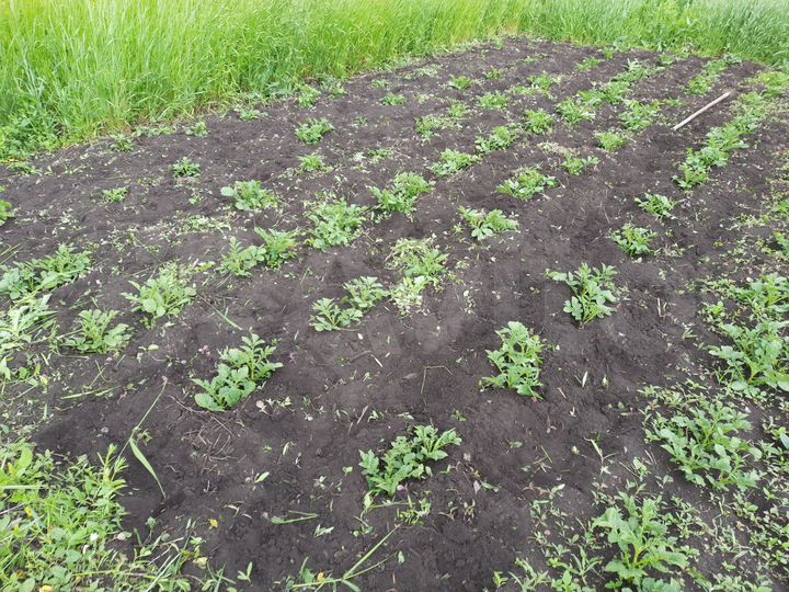 Дача 27 м² на участке 16 сот.