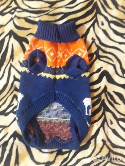 Одежда для собак