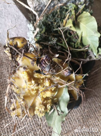 Программные свечи